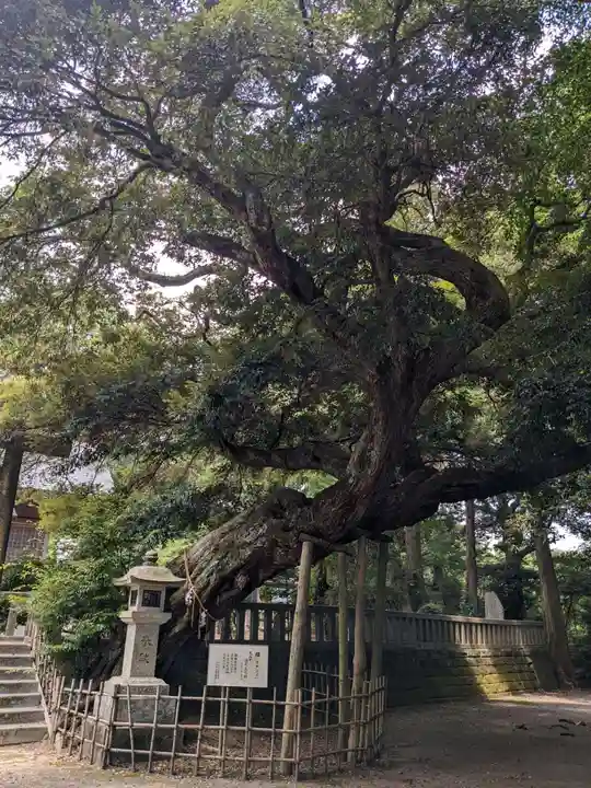 莫越山神社(千葉県)