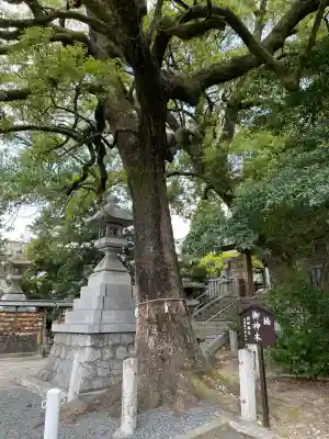 加納天満宮(岐阜県)