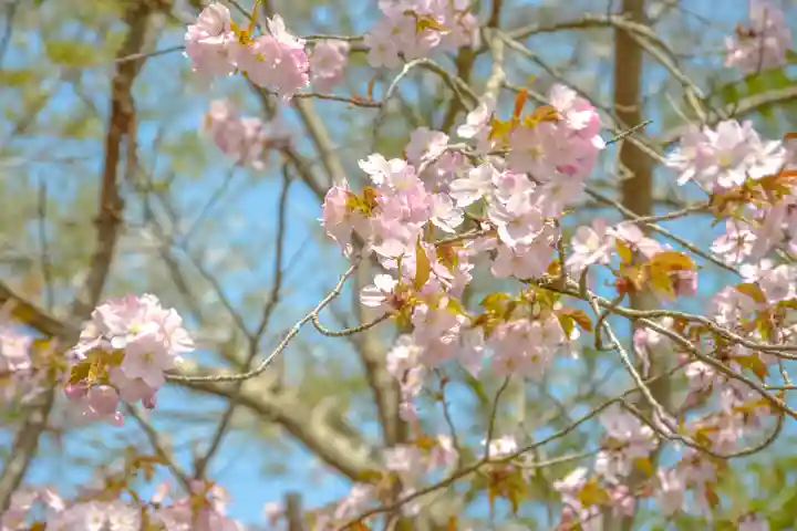 尻岸内八幡神社の景色