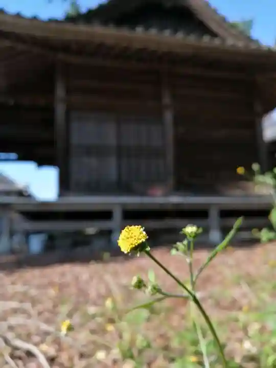 網戸神社の自然