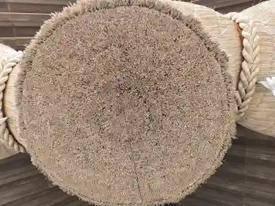 出雲大社(島根県)