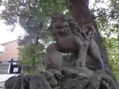 赤坂氷川神社の狛犬