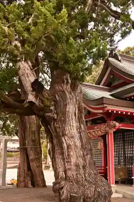 八幡神社(愛媛県)