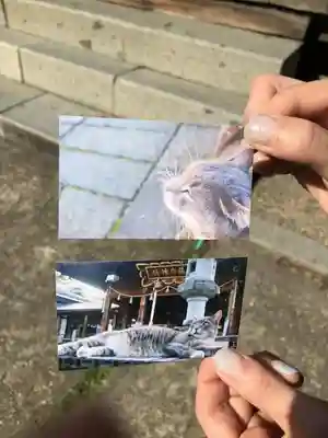 荘内神社の授与品その他