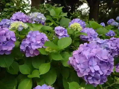 神明社(千葉県)
