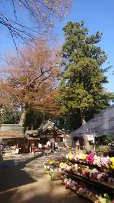 一言主神社のその他建物