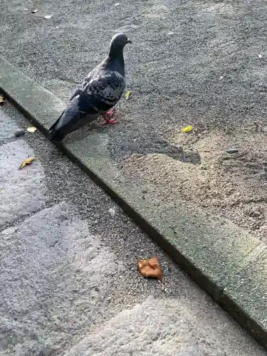 宇都宮二荒山神社(栃木県)