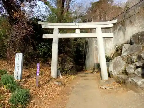 筑波山神社の鳥居