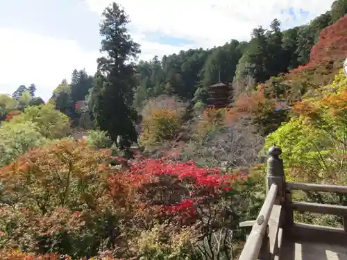 長谷寺の景色