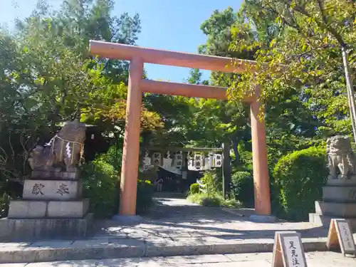 堀越神社の鳥居