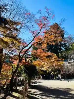 談山神社(奈良県)