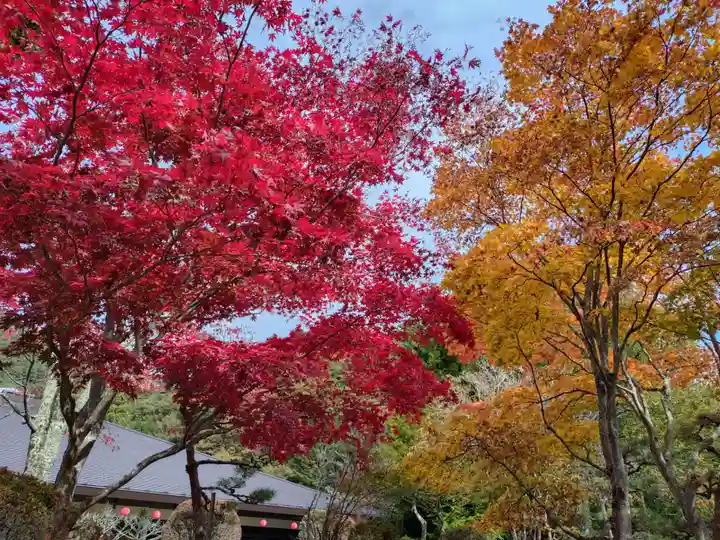佛光山本栖寺(山梨県)