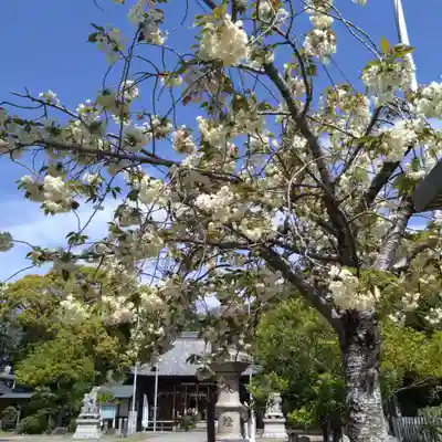 日吉神社(愛知県)