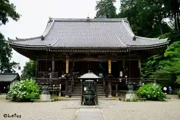 観音寺の本殿・本堂
