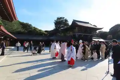 明治神宮(東京都)