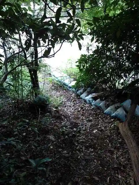 浅川金刀比羅神社 の周辺