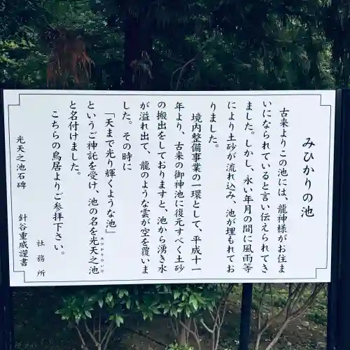 鷲宮神社(埼玉県)