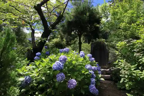 開成山大神宮の庭園