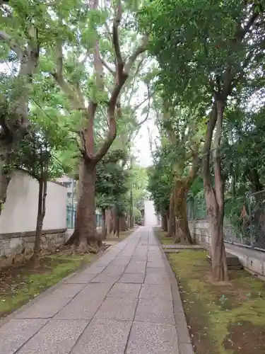 桐ヶ谷氷川神社のその他建物