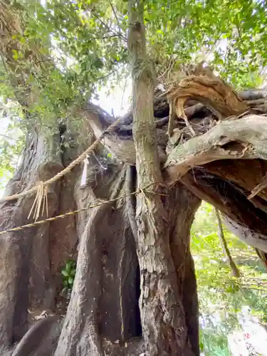 竹生島神社（都久夫須麻神社）(滋賀県)