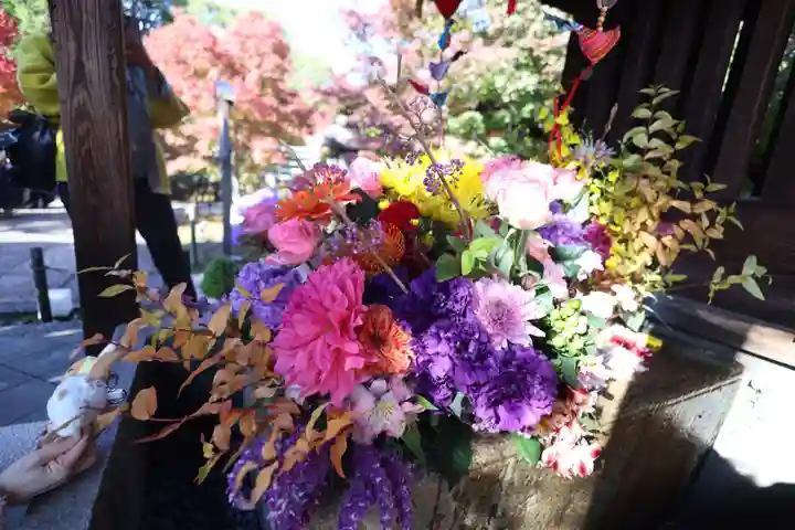 勝林寺(京都府)