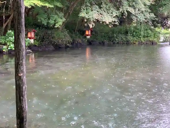 富士山本宮浅間大社(静岡県)