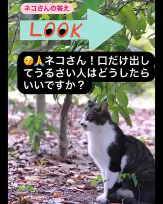 専念寺(大阪府)