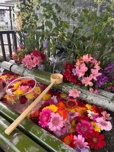 豊平神社(北海道)