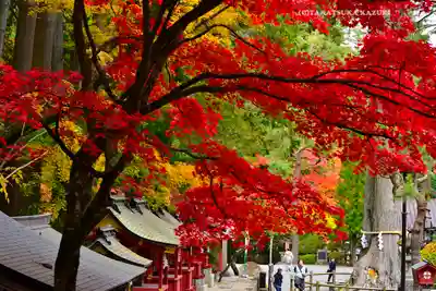 北口本宮冨士浅間神社(山梨県)