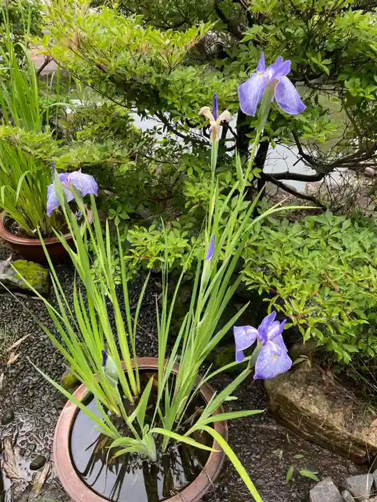 天鏡院(京都府)