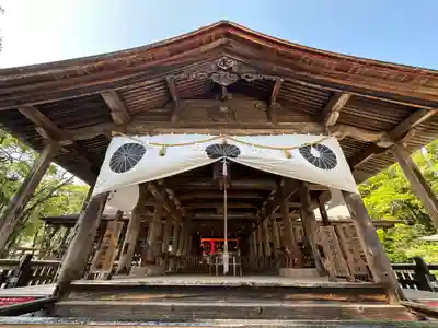 土佐神社の本殿・本堂