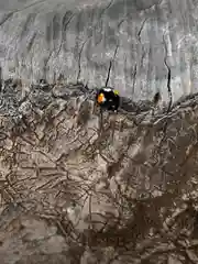 白山神社の動物