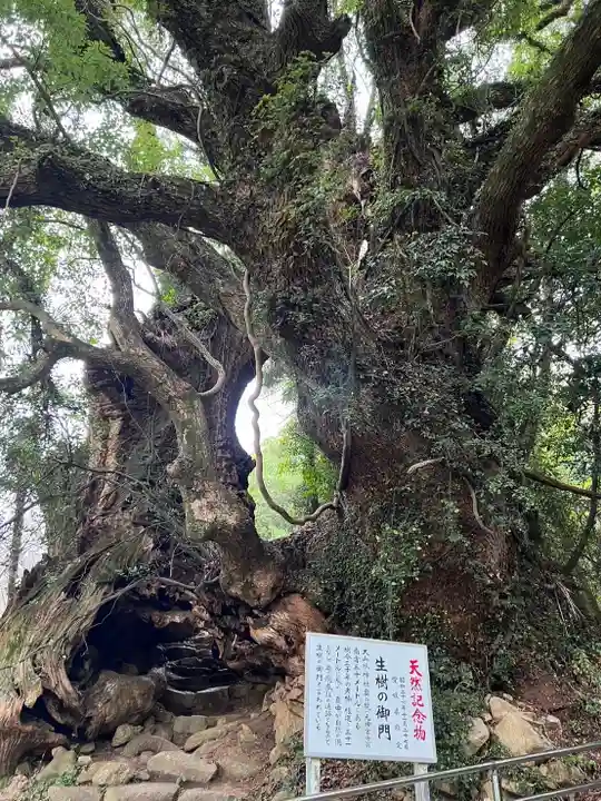 大山祇神社(愛媛県)