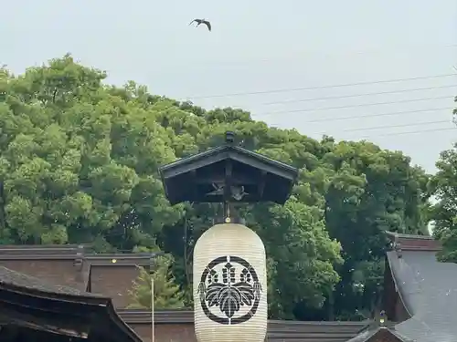 尾張大國霊神社（国府宮）(愛知県)