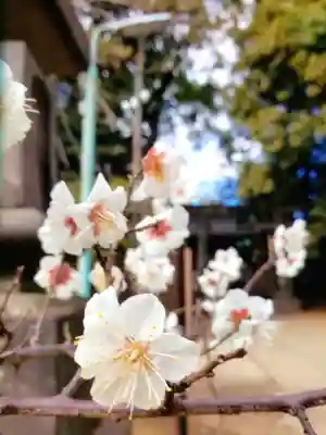 赤坂氷川神社(東京都)
