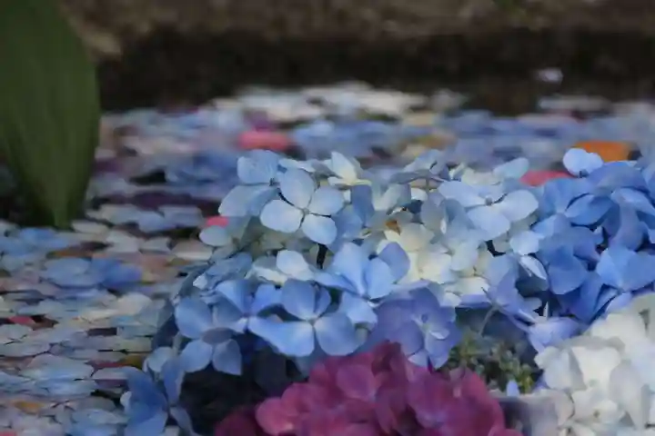 開成山大神宮の手水舎