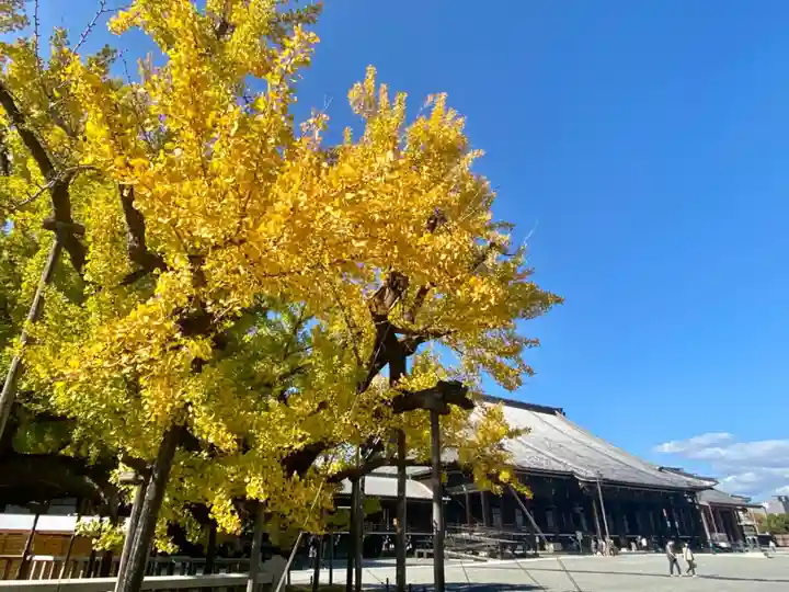 本願寺(西本願寺)(京都府)