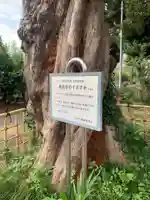 東光寺(千葉県)