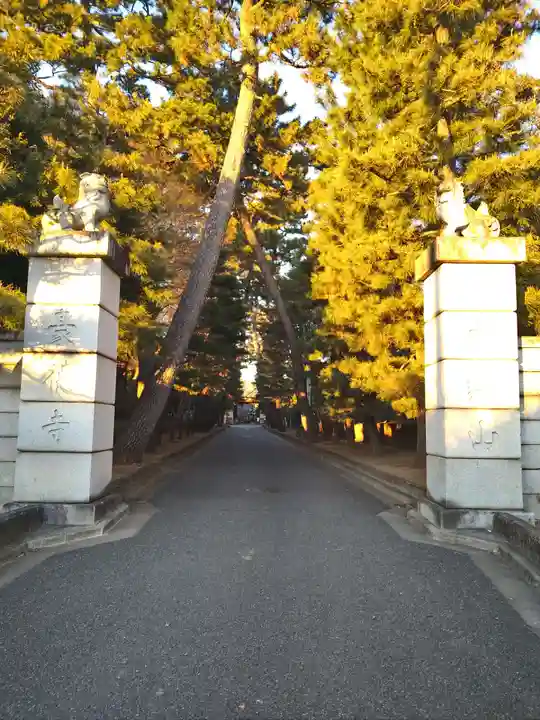 豪徳寺の山門・神門