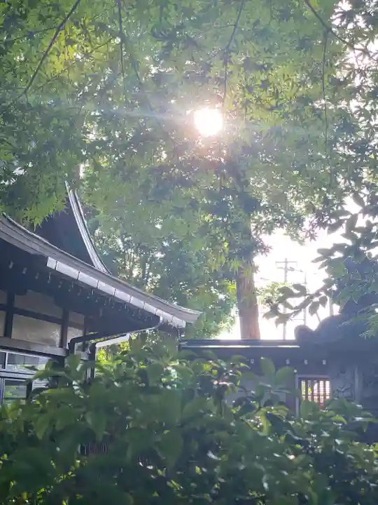 大國魂神社(東京都)