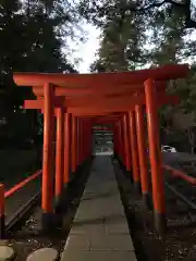 大杉神社の鳥居