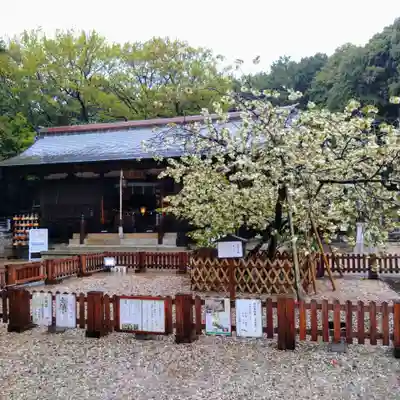上地八幡宮(愛知県)