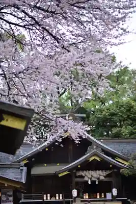 出雲大社相模分祠(神奈川県)