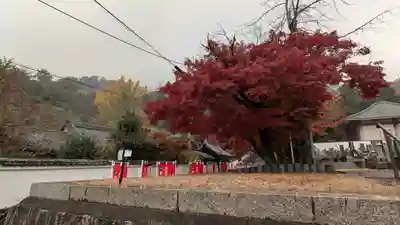 宝積寺(京都府)