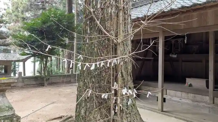 白山神社のおみくじ