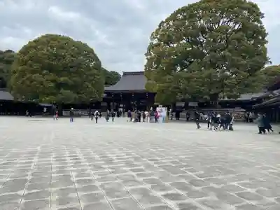 明治神宮(東京都)