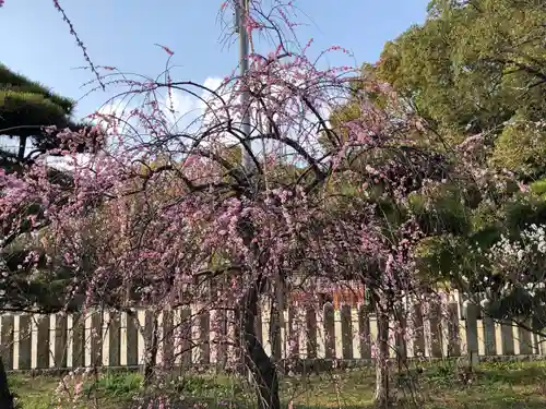 曽根天満宮(兵庫県)