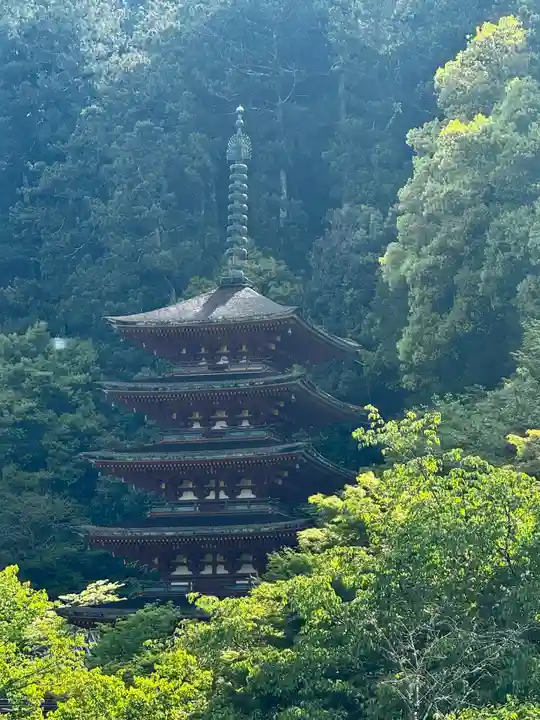 長谷寺(奈良県)