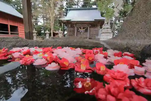 田村神社の手水