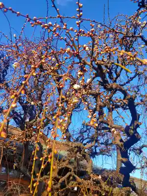 結城神社(三重県)